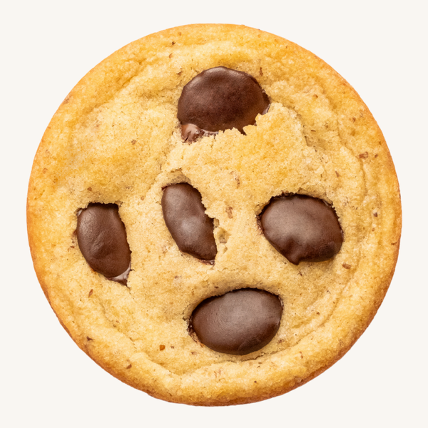 Chocolate Chip