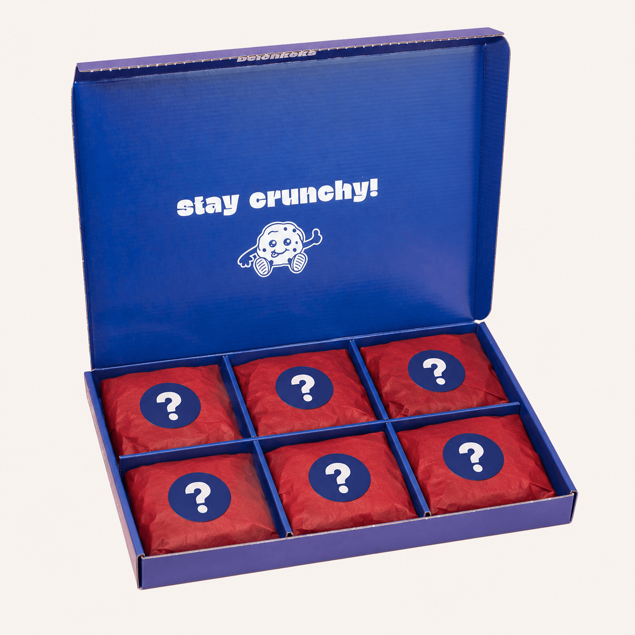 Deichkeks Weihnachts Cookie Box mit 6 handgemachten Keksorten, nachhaltige Geschenkverpackung